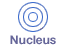 Nucleus Logo